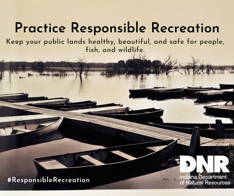 Image from the DNR of boats on a lake