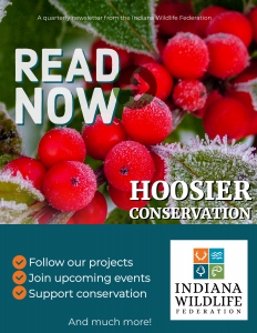 Hoosier Conservation Newsletter February 2022 Teaser with native winterberry covered in frost.