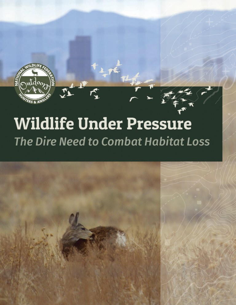 New Report Examines Habitat Loss Impacts on Wildlife, Hunting, Fishing