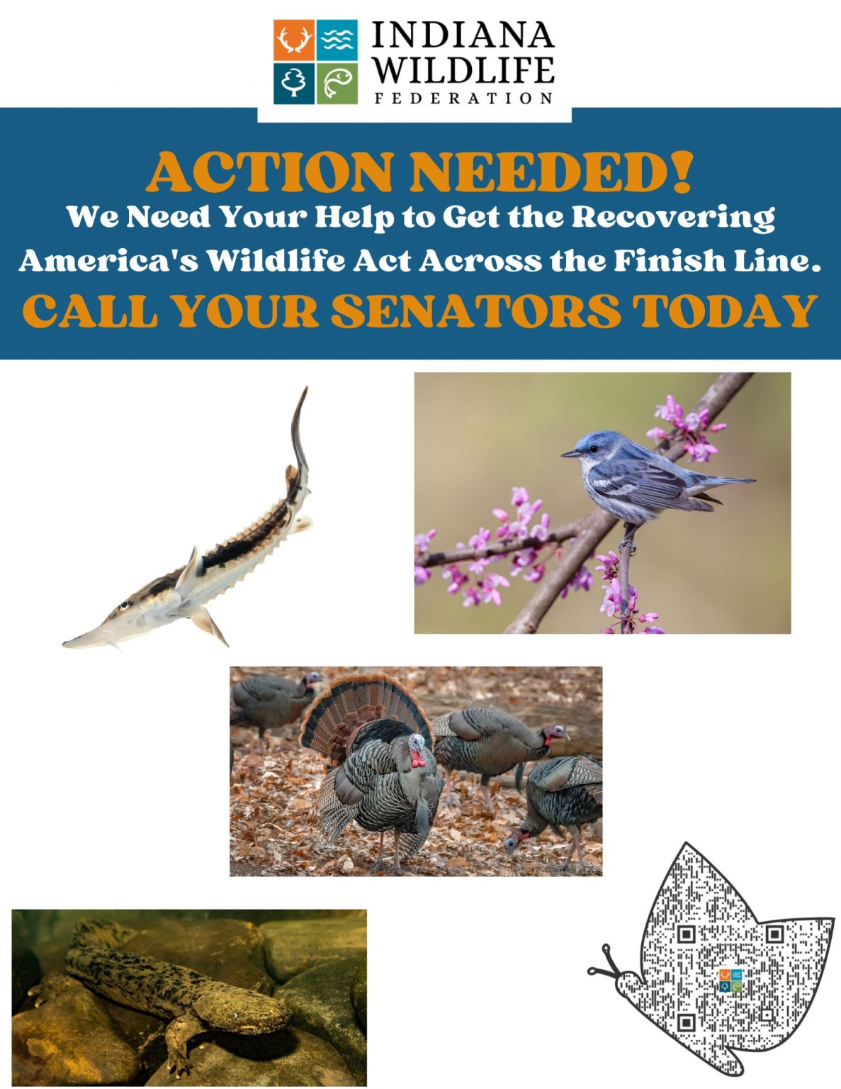 Company News - Indiana Wildlife Federation