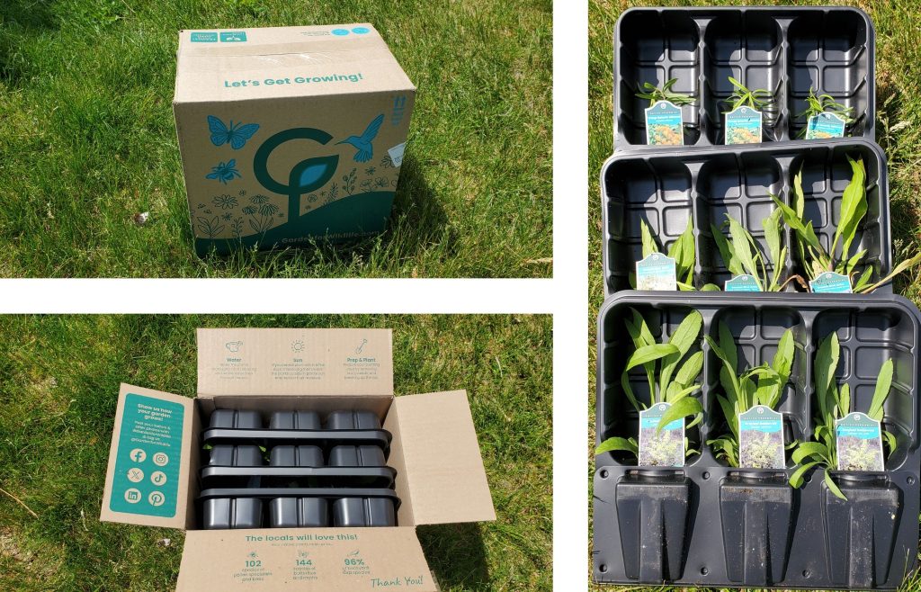 Collage of a gardening kit on grass: a large brown box with teal logo and 'Let's Get Growing!' text, plus seedling trays and instruction materials nearby.